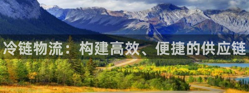 ,优游国际黑吗：冷链物流：构建高效、