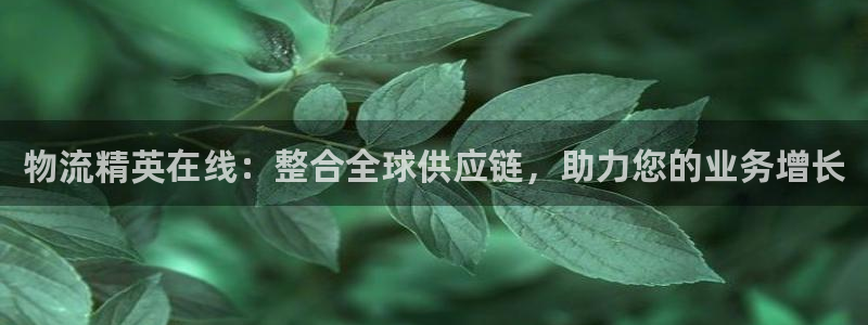 ,优游国际游戏官网入口：物流精英在线：整合全球供应链，助力您