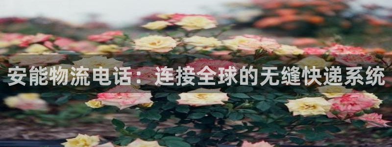 ,优游国际合法吗：安能物流电话：连接