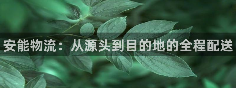 ,优游国际是啥：安能物流：从源头到目