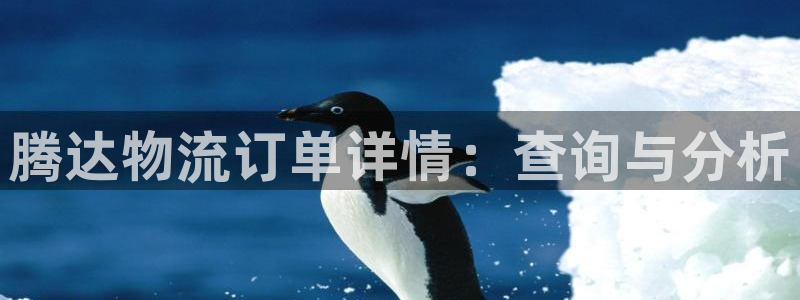 ,优游国际注册网页：腾达物流订单详情