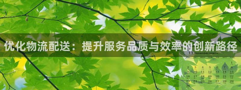 ,优游国际加拿大技巧：优化物流配送：