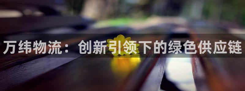 ,优游国际加拿大能提现吗：万纬物流：