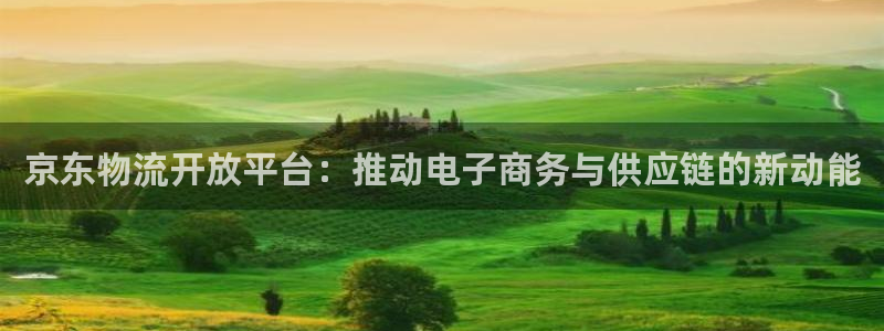 ,优游国际pg如何退钱：京东物流开放