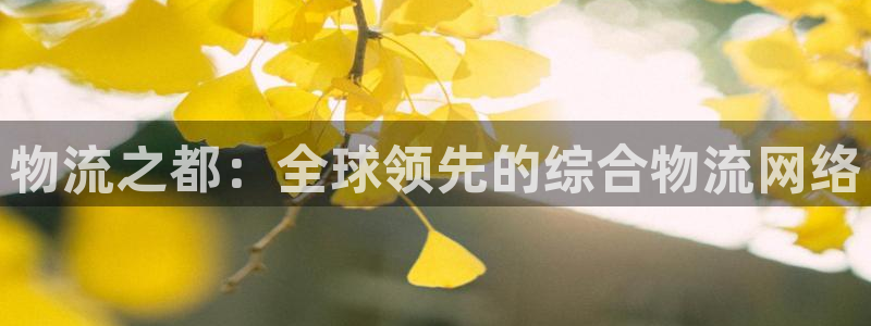 ,优游国际登录网：物流之都：全球领先