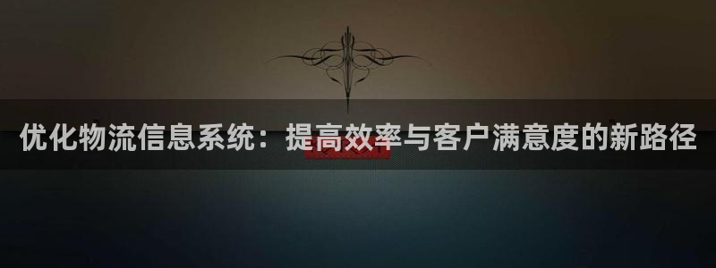 ,优游国际忘记账号：优化物流信息系统