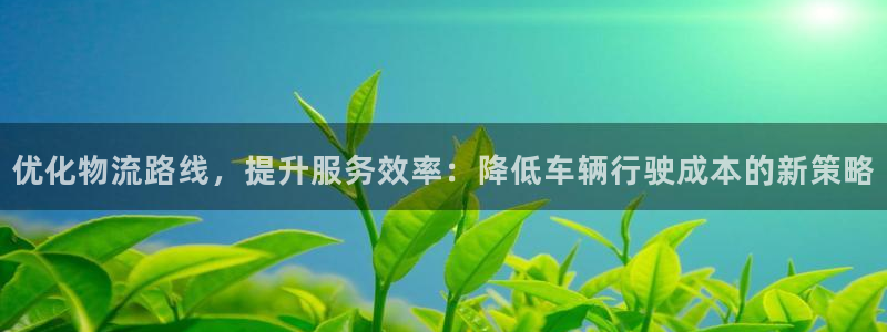 ,优游国际注册网页版：优化物流路线，提升服务效率：降低车辆行