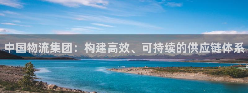,优游国际h5链接：中国物流集团：构