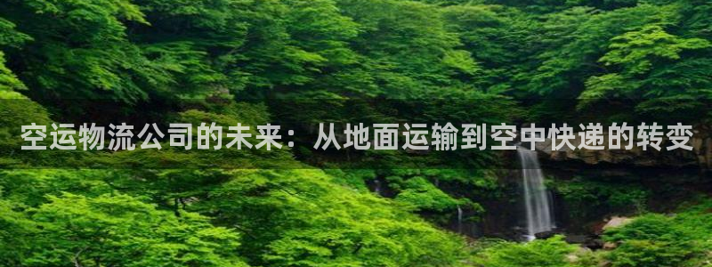 ,优游国际注册登录流程：空运物流公司的未来：从地面运输到空中