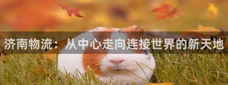 ,优游国际女王中奖记录查询：济南物流