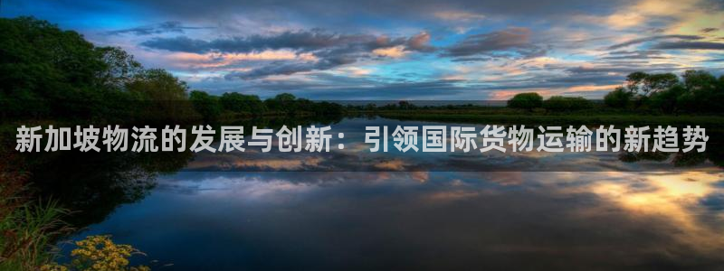 ,优游国际注册平台：新加坡物流的发展