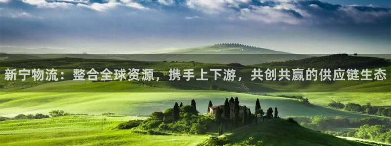 ,优游国际官网开奖结果预测查询：新宁物流：整合全球资源，携手