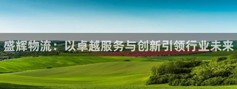 ,优游国际官网平台：盛辉物流：以卓越服务与创新引领行业未来
