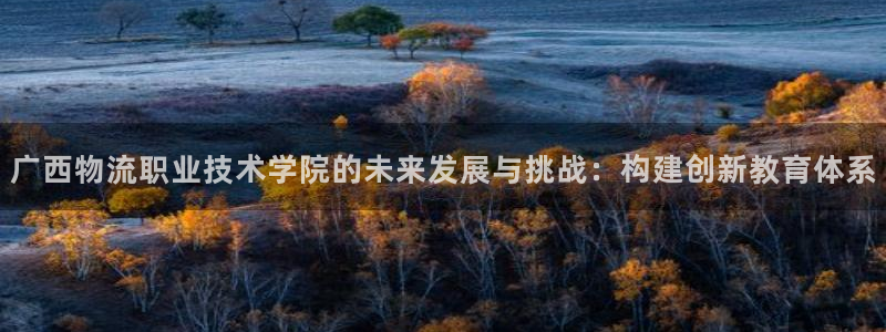 ,优游国际如何看012路计划：广西物