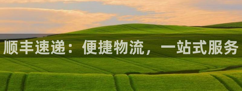 ,优游国际如何看计划：顺丰速递：便捷