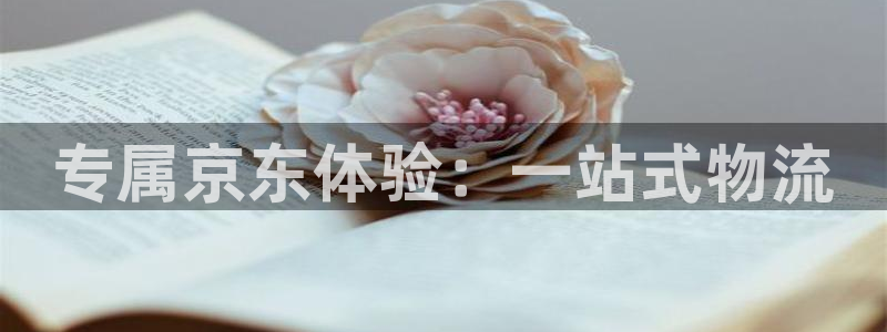 ,优游国际黑平台吗：专属京东体验：一站式物流