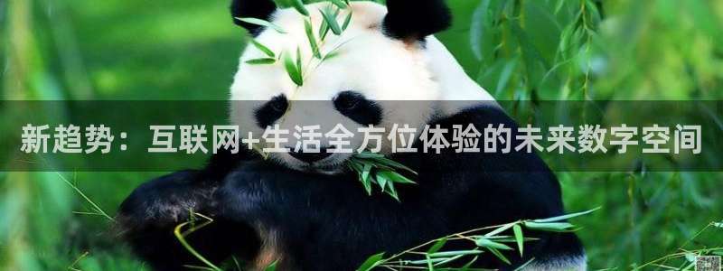 熊猫体育app下载：新趋势：互联网+生活全方位体验的未来数字空间