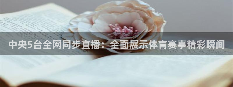 熊猫体育平台官网：中央5台全网同步直播：全面展示体育赛事精彩瞬间