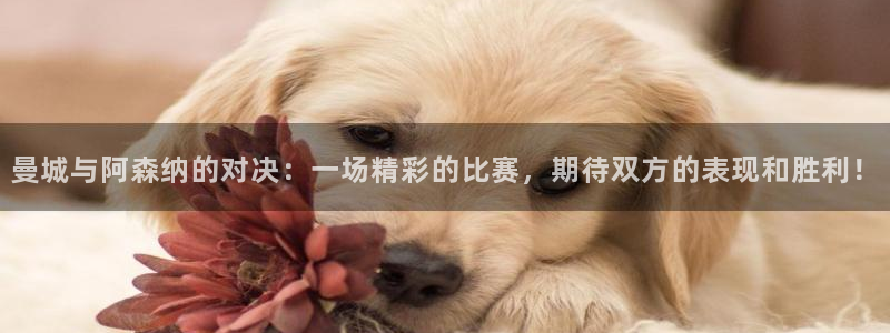 熊猫nba直播视频