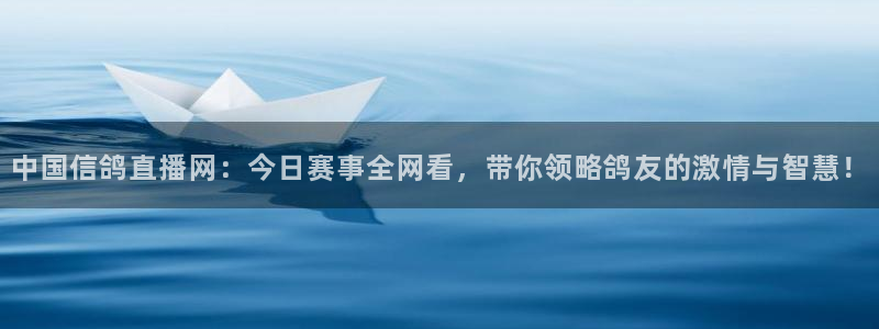 熊猫直播